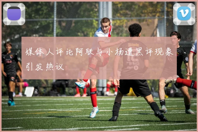 媒体人评论阿联与小杨遭黑评现象引发热议