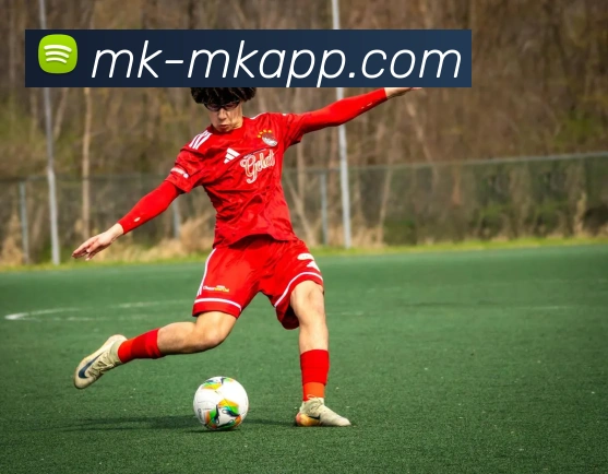 MK体育APP 体育赛事宣传图